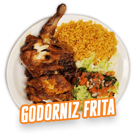 GODORNIZ FRITA/